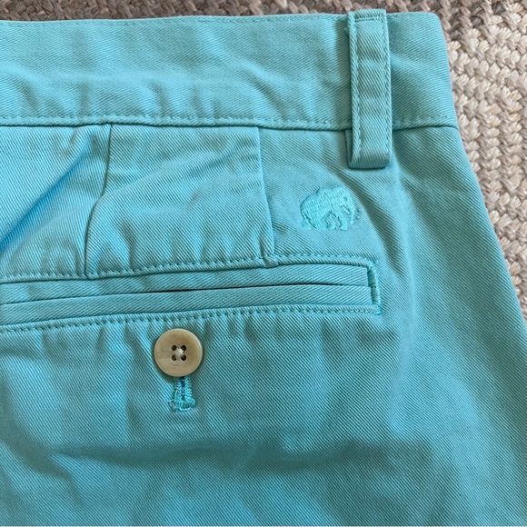 Banana Republic Turquoise Shorts - Picture 4 of 5